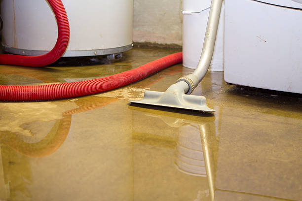 Best Flooded house restoration  in Christiansburg, VA