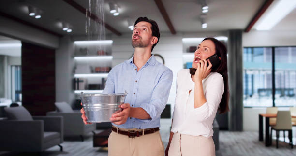 Best Ceiling water damage repair  in Christiansburg, VA