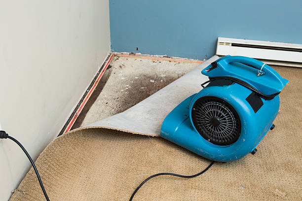Best Water damage cleanup near me  in Christiansburg, VA